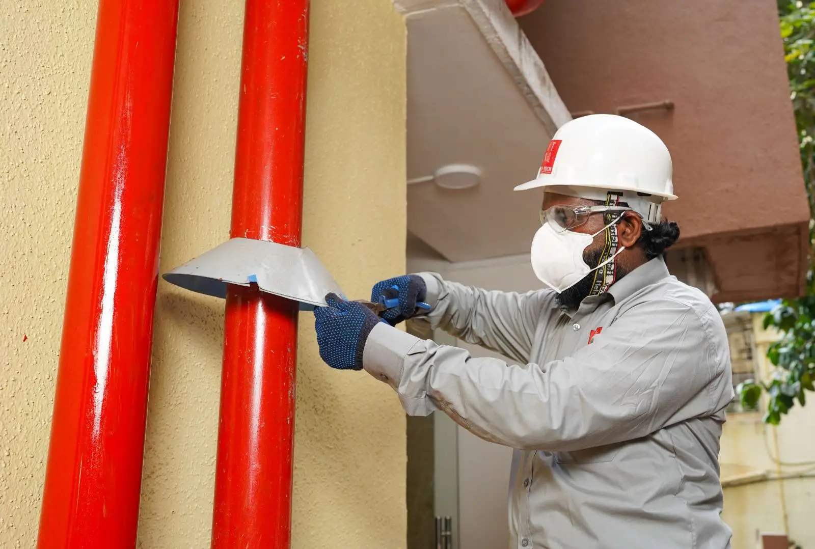 Rodent Pest Control Service