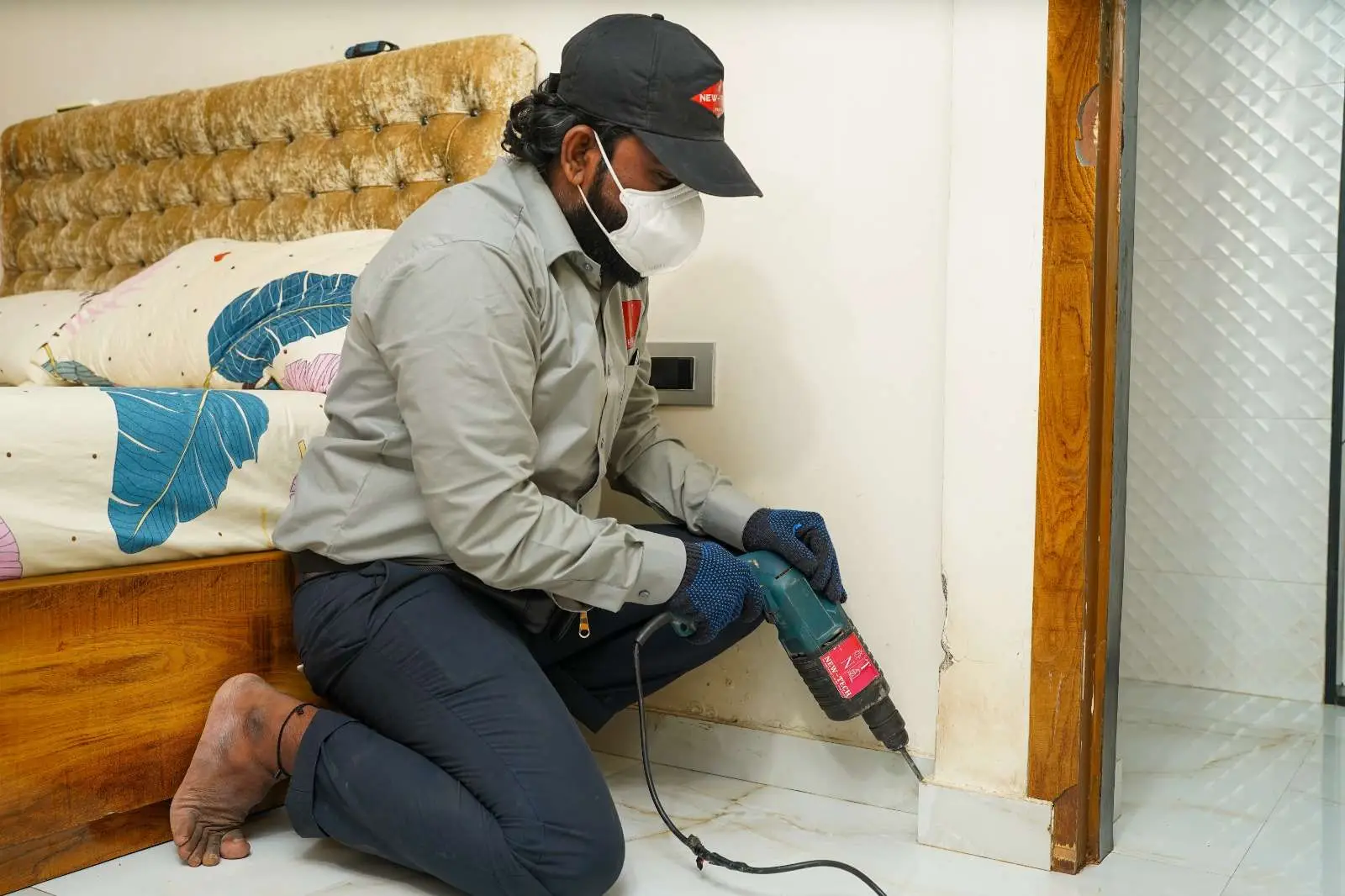 Termite Pest Control Service